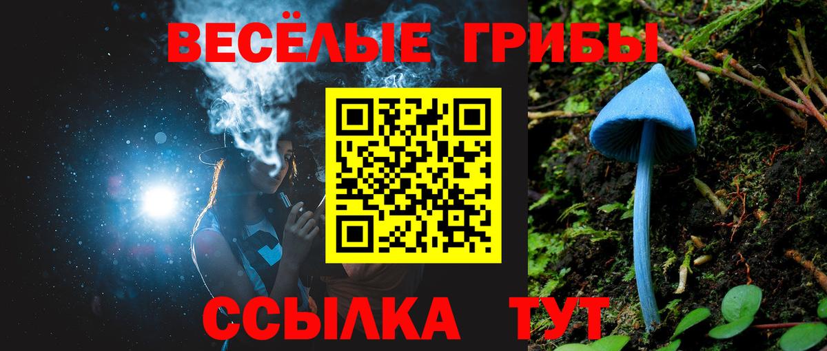 Псилоцибиновые грибы Cubensis Ухта