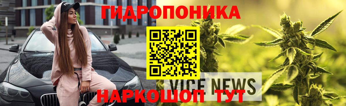 Канабис SATIVA & INDICA Ухта